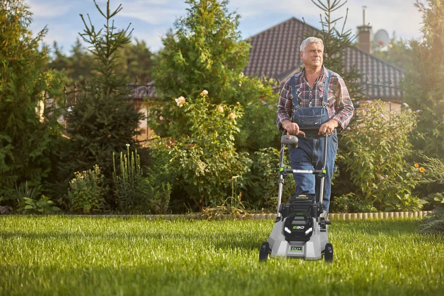 small battery operated lawn mower